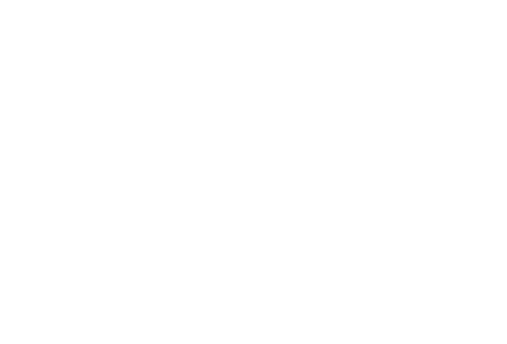 swarovski